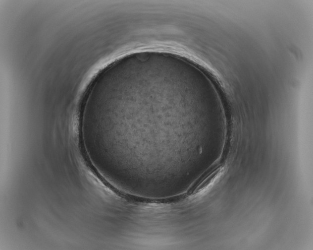 X0000110931506200906181418