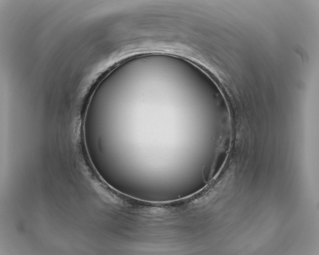 X0000110931507200906181418