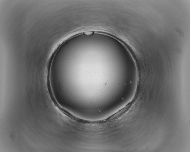 X0000110931508200906181418