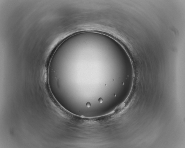 X0000110931509200906181418