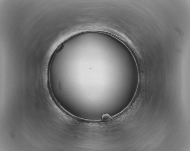 X0000110931512200906181418