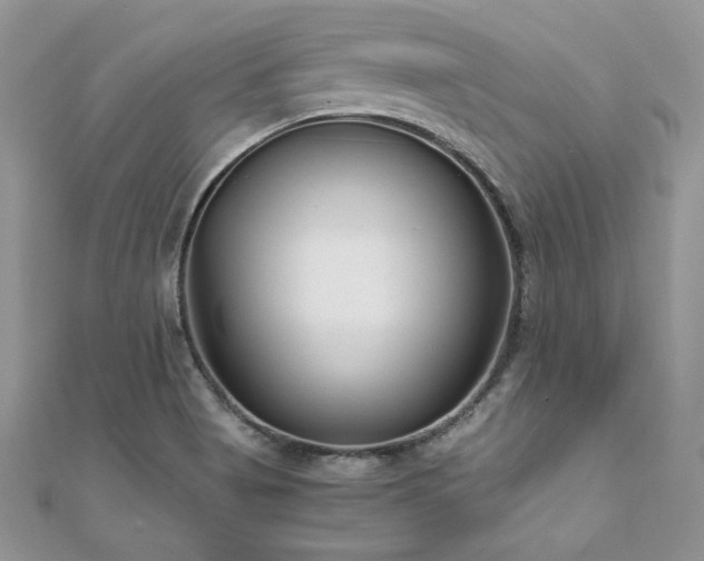 X0000110931513200906181418