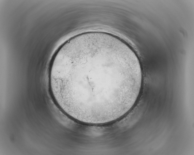 X0000110931514200906181419
