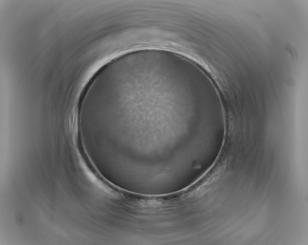 X0000110931515200906181419