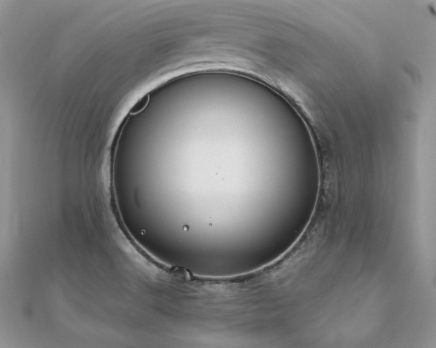 X0000110931516200906181419