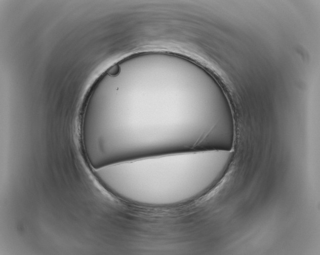 X0000110931517200906181419