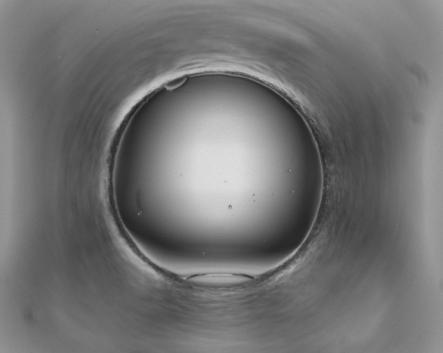 X0000110931518200906181419