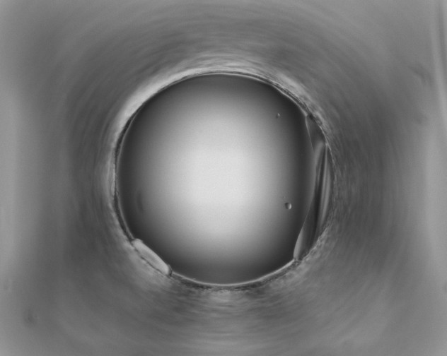 X0000110931520200906181419
