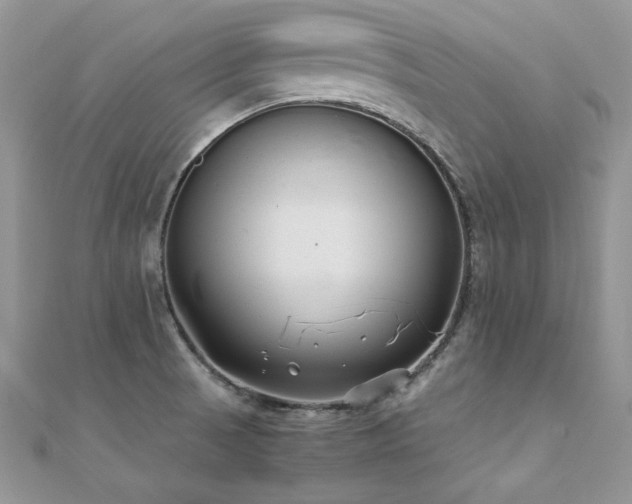 X0000110931521200906181419
