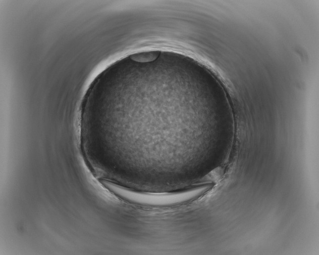 X0000110931522200906181419