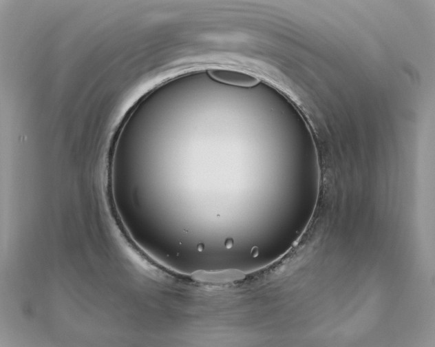 X0000110931523200906181419