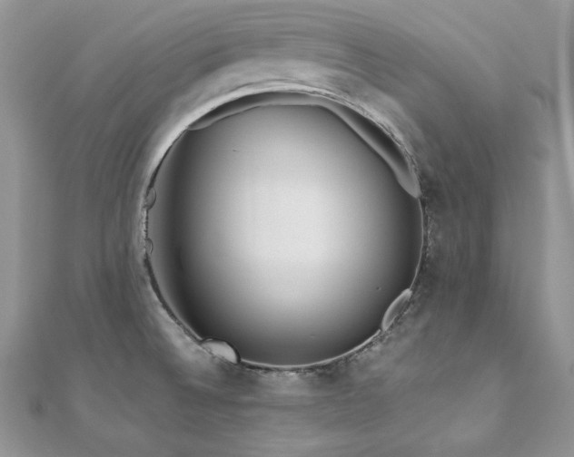 X0000110931524200906181419