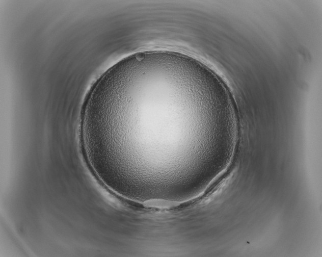 X0000110931525200906181419