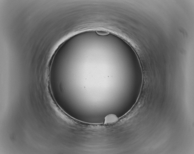 X0000110931526200906181419
