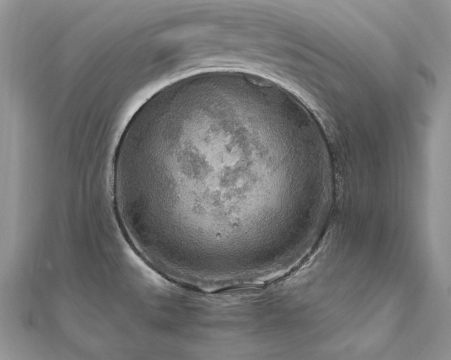 X0000110931527200906181419