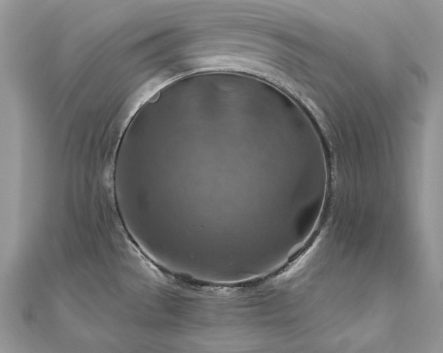 X0000110931529200906181419