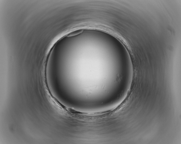 X0000110931530200906181419