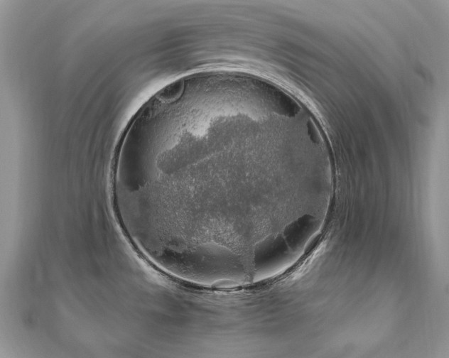 X0000110931533200906181419