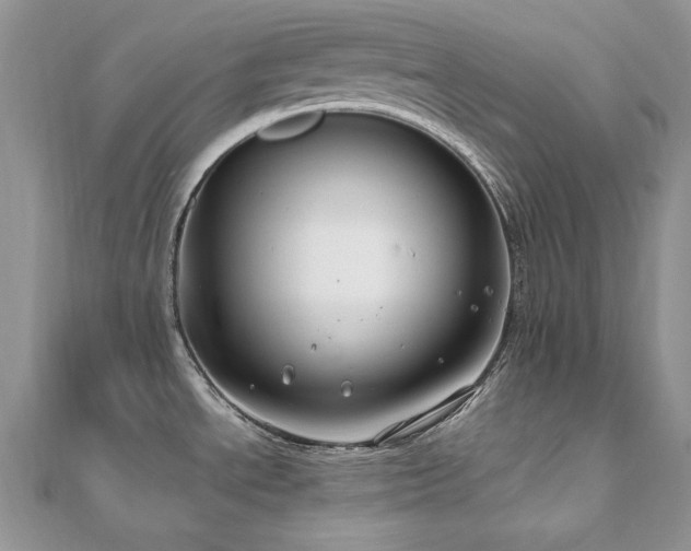 X0000110931534200906181419