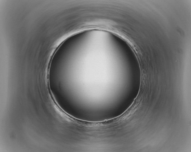 X0000110931535200906181419