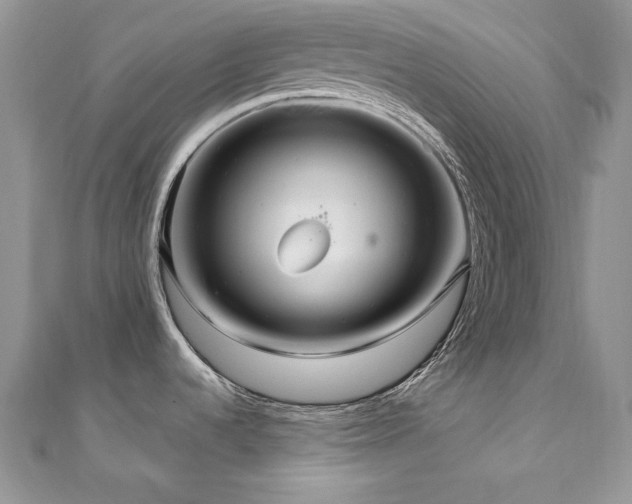X0000110931536200906181419