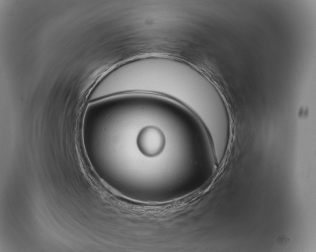 X0000110930001200906251345