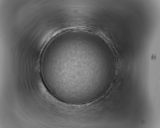 X0000110930002200906251345