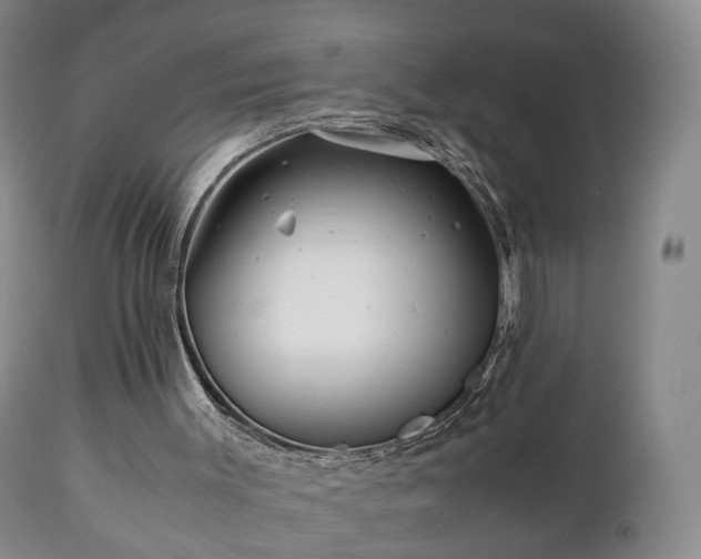 X0000110930003200906251345