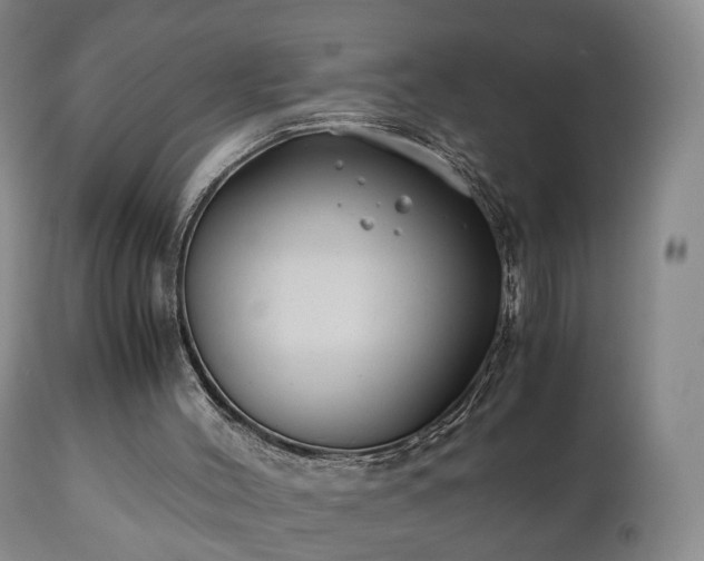 X0000110930004200906251345