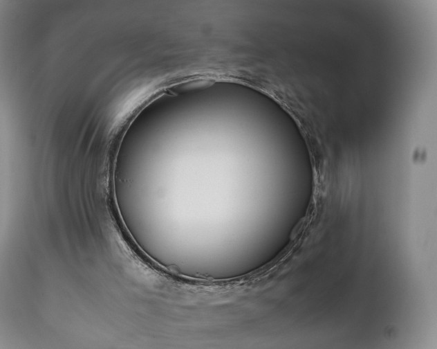 X0000110930005200906251345