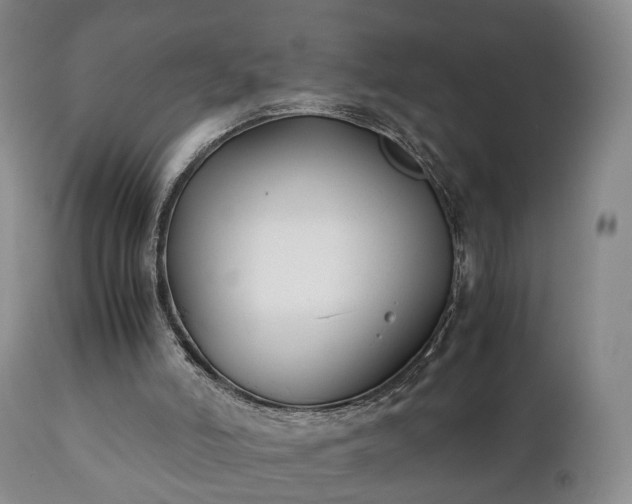 X0000110930006200906251345