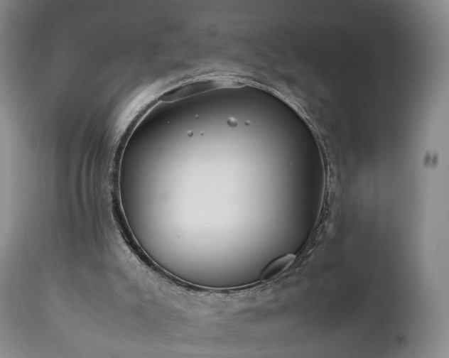 X0000110930007200906251345