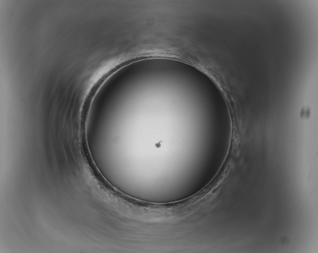 X0000110930008200906251345