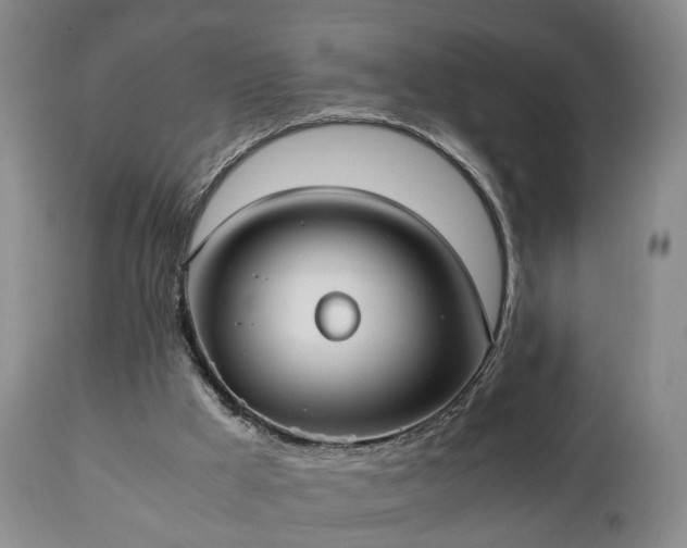 X0000110930009200906251345