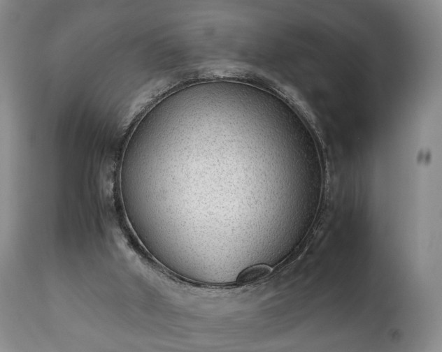 X0000110930010200906251345