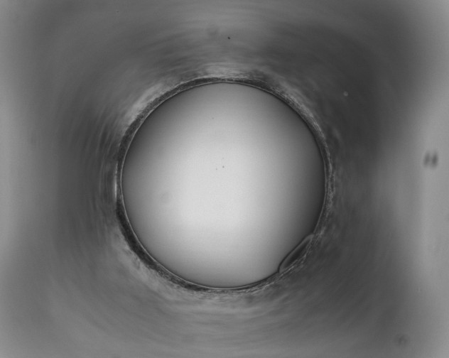 X0000110930011200906251345