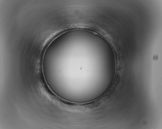 X0000110930012200906251345