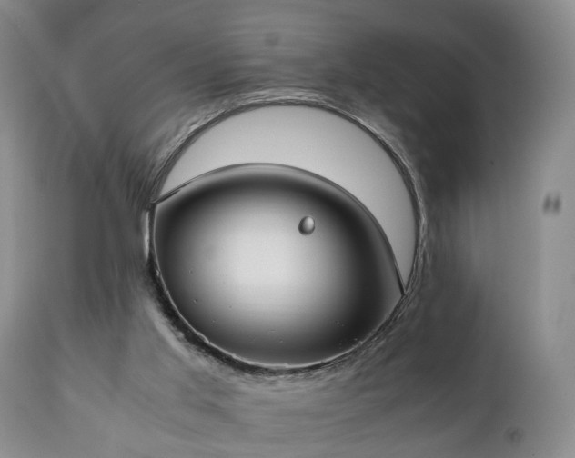 X0000110930013200906251344