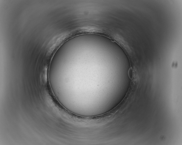 X0000110930014200906251344