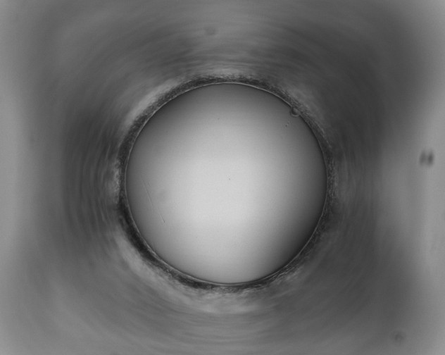 X0000110930016200906251344