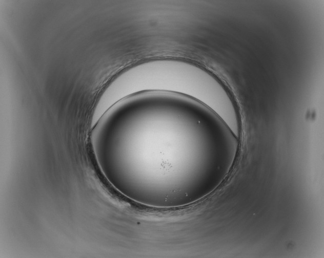 X0000110930017200906251344