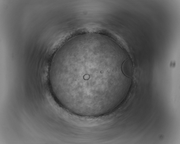 X0000110930018200906251344