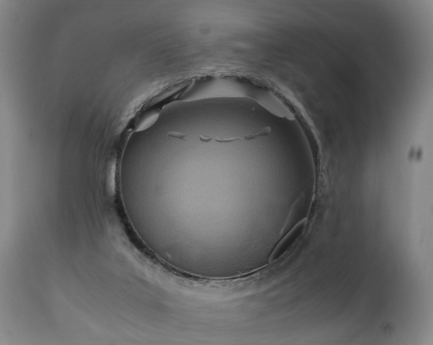 X0000110930019200906251344