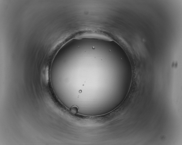 X0000110930020200906251344