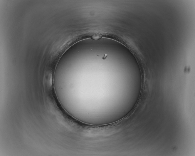 X0000110930021200906251344