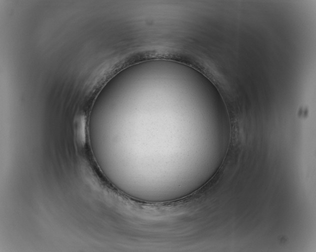 X0000110930022200906251344