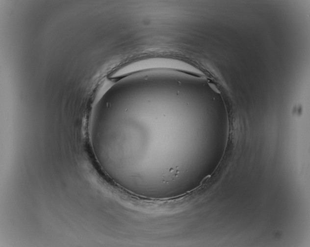 X0000110930023200906251344