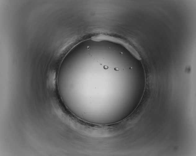 X0000110930024200906251344