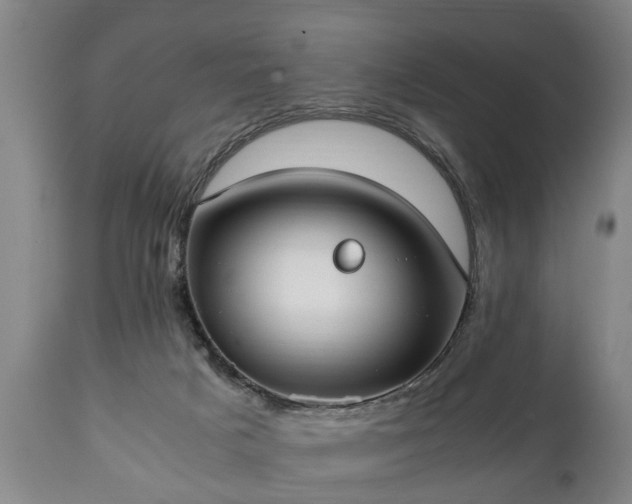 X0000110930025200906251344