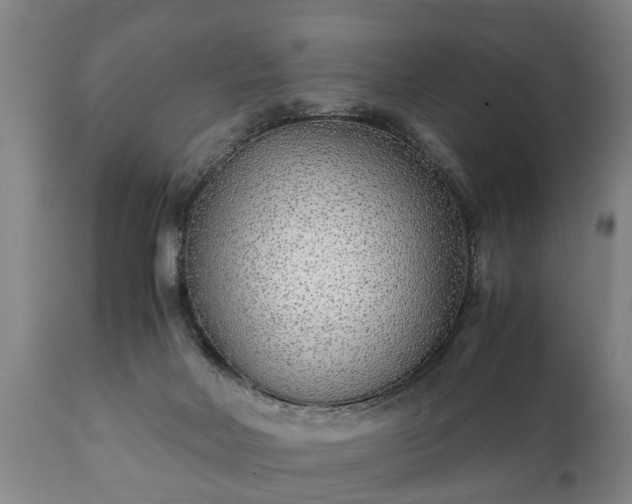 X0000110930026200906251344
